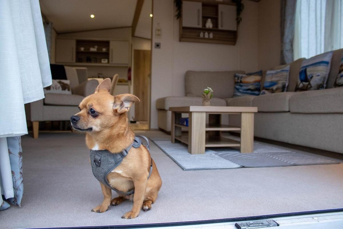 Eagle'S Den Caravan Lossiemouth Ngoại thất bức ảnh